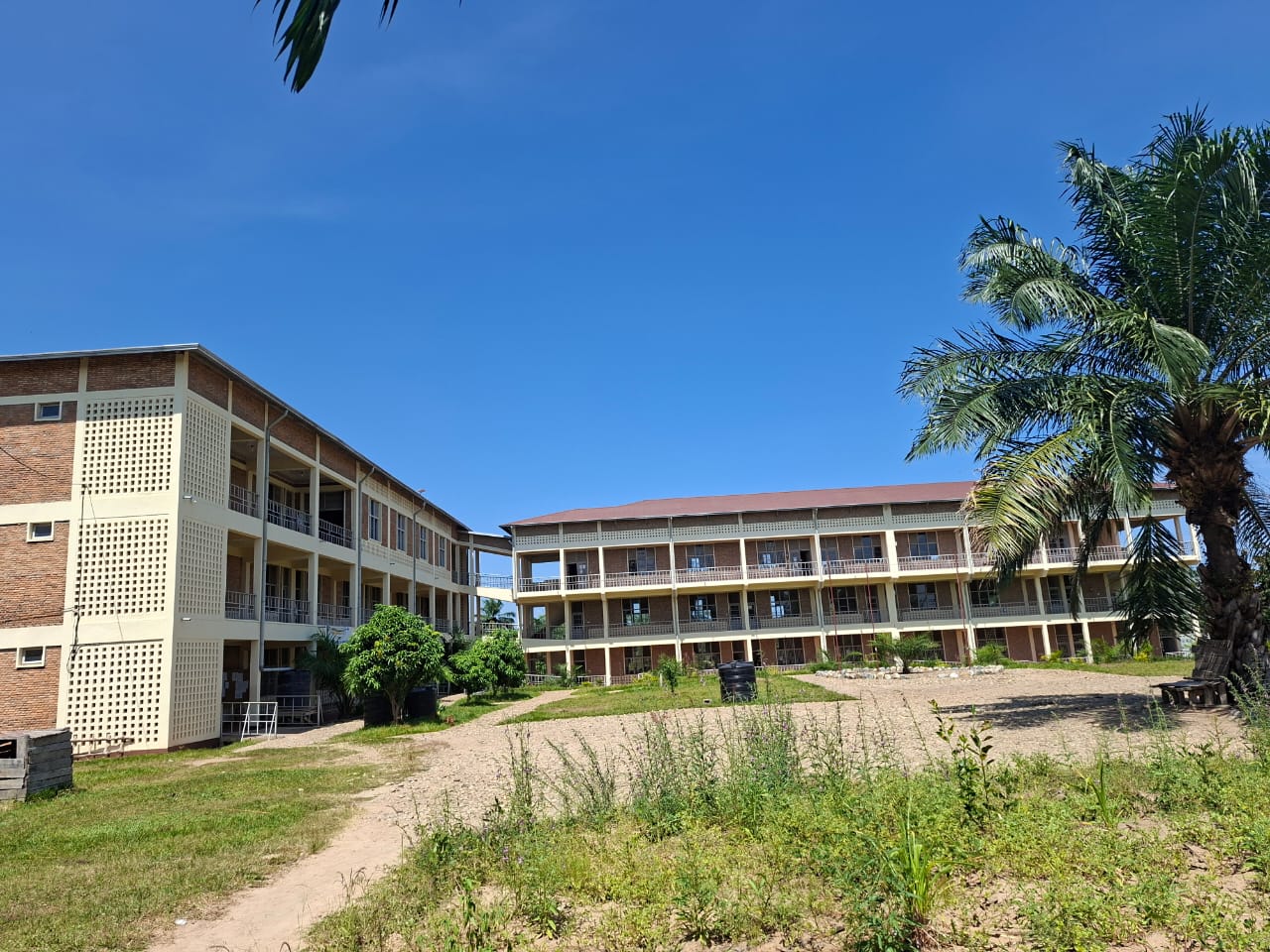 Universite Laudato Si-Le Palmier
